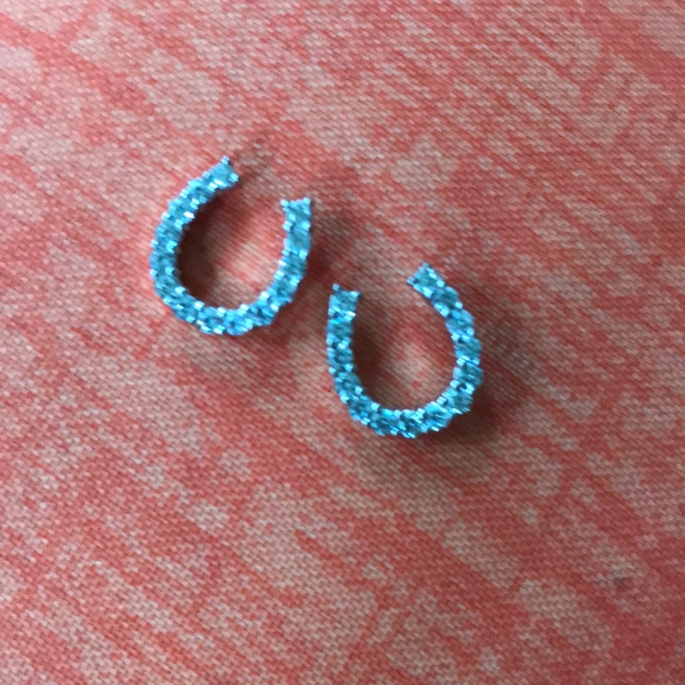 Horseshoe Earrings 🐴